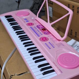 Professional  piano with  in built battery