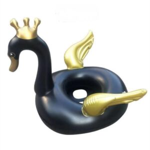 swimming ducks