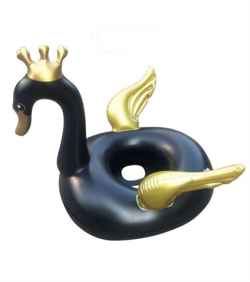 swimming ducks